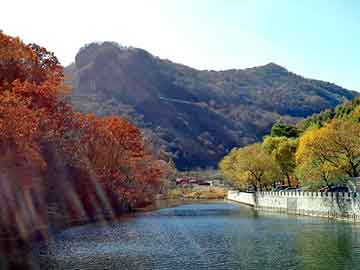 天天彩好彩天天免费，二氧化氯发生器型号